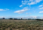 Terreny no urbanitzable en venda a la España, Villena, ref.: TR173569 foto