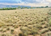 Terreny no urbanitzable en venda a la España, Villena, ref.: TR173569 foto