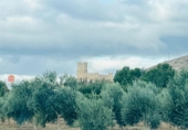 Terreny no urbanitzable en venda a la España, Villena, ref.: TR173569 foto