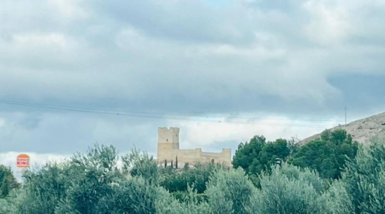 Alicante - Villena - 9000m2