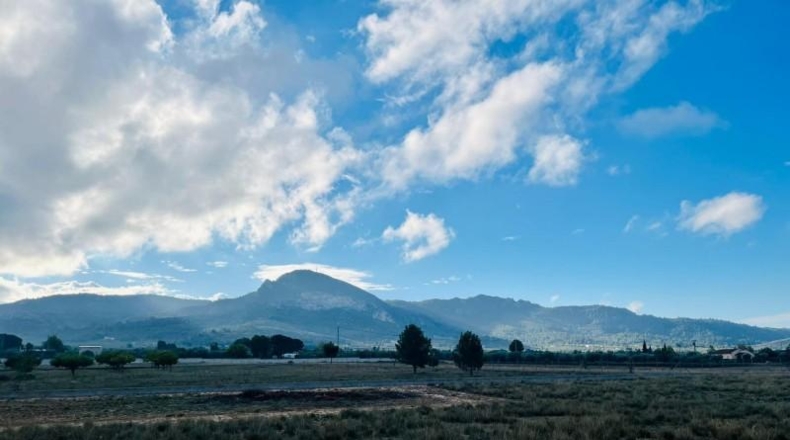Alicante - Villena - 9000m2