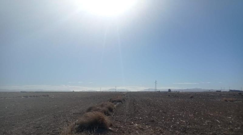 Múrcia - Múrcia - 11263m2