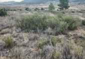 Land suitable for development for sale on España, Socuéllamos, ref: TR306160 photo