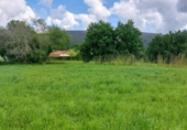 Отдельно стоящий дом с участком на продажу в городе Socobio Фото