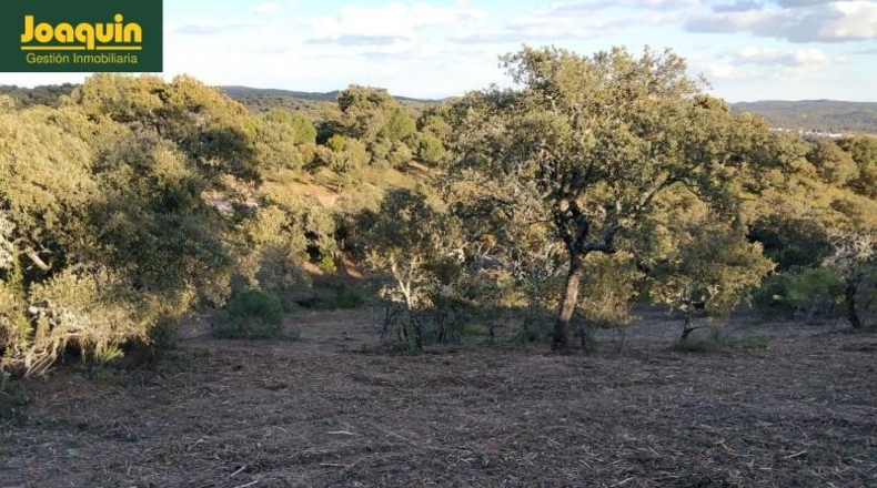 Córdoba - Còrdova - 10000m2