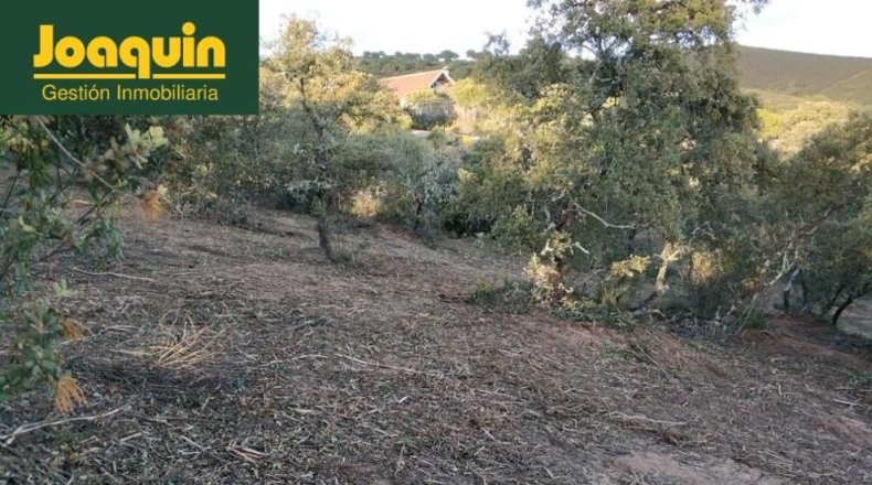 Córdoba - Còrdova - 10000m2