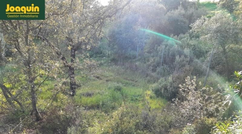 Córdoba - Còrdova - 10000m2