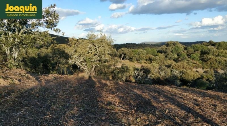 Córdoba - Còrdova - 10000m2