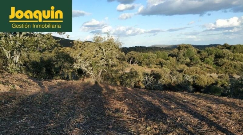 Córdoba - Còrdova - 10000m2