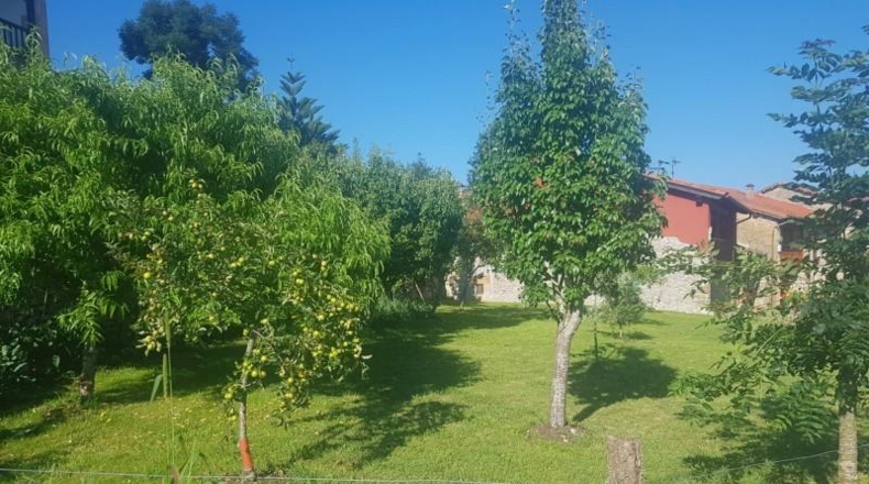 Almeria - Cuevas del Almanzora - 410m2