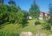 Non-developable land for sale on España, Cabanzón, ref: TR312744 photo