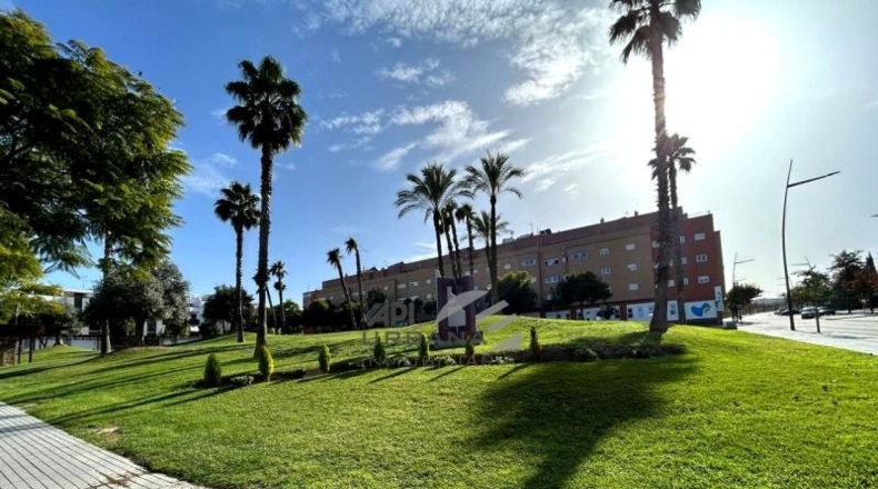 Córdoba - Lucena - 205m2