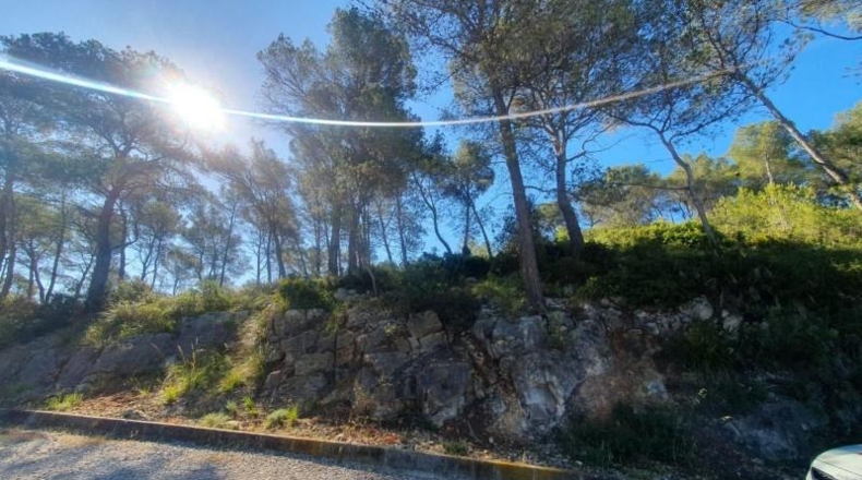 Barcelona - Canyelles - 539m2