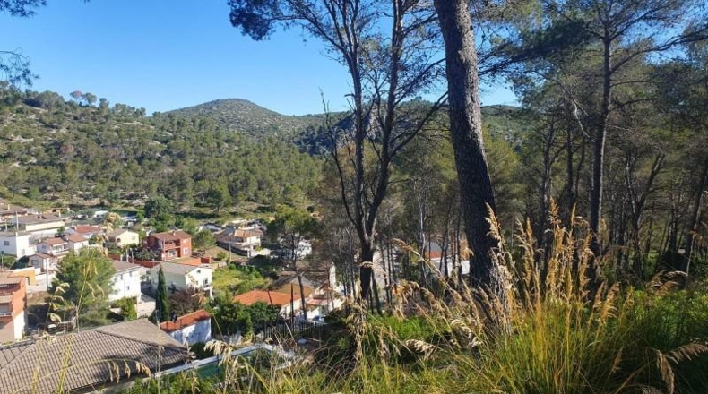 Barcelona - Canyelles - 539m2