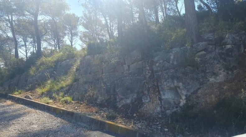 Barcelona - Canyelles - 539m2