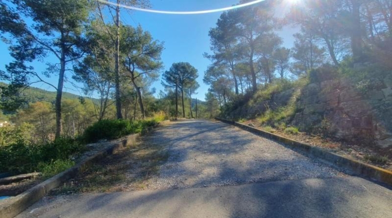 Barcelona - Canyelles - 539m2