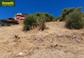 Land suitable for development for sale on España, Alcolea, ref: TR164900 photo