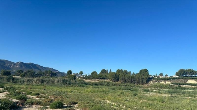 Murcia - Cieza - 11180m2