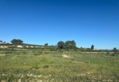 Terreny no urbanitzable en venda a la España, Cieza, ref.: TR132313 foto
