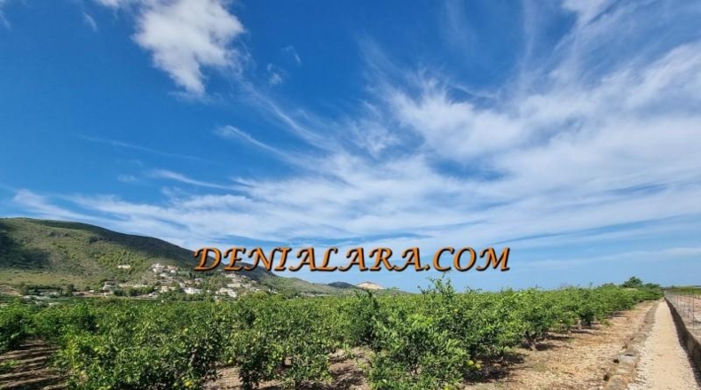 Alicante - Pego - 4000m2