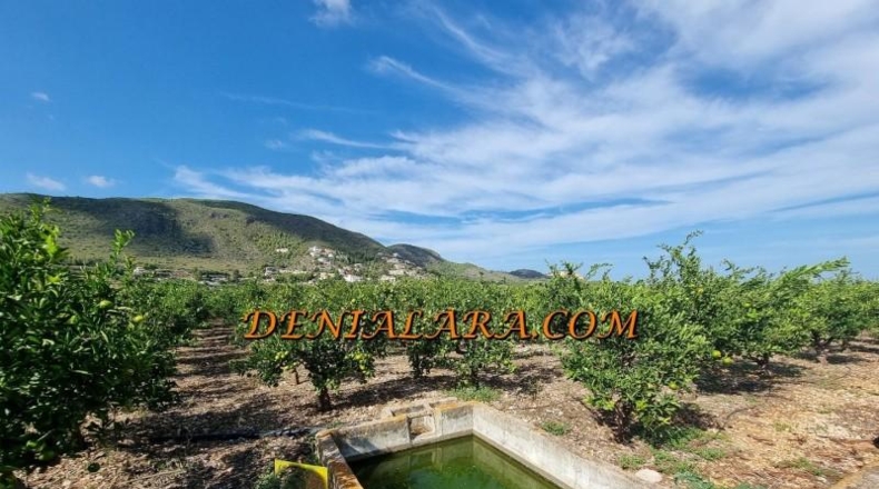 Alicante - Pego - 4000m2