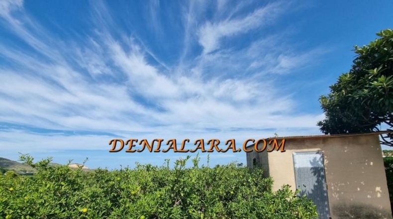 Alicante - Pego - 4000m2