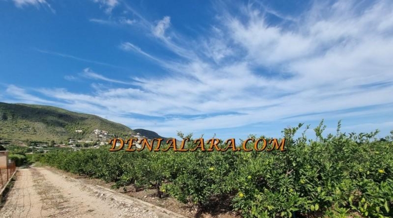 Alicante - Pego - 4000m2