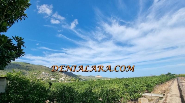 Alicante - Pego - 4000m2