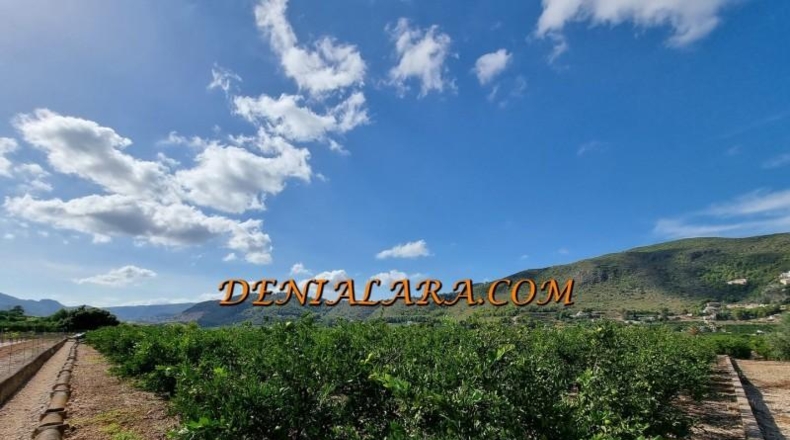 Alicante - Pego - 4000m2