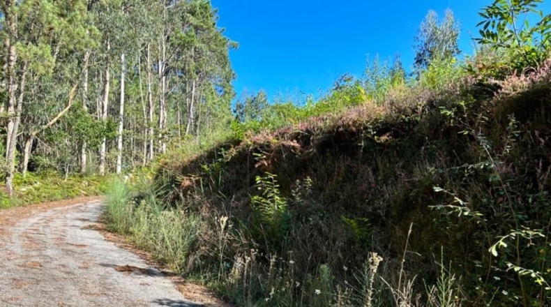 La Coruna - Teaño - 822m2
