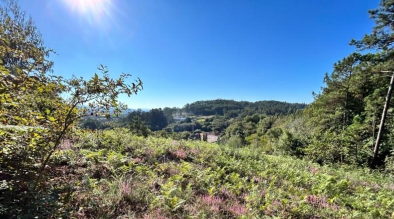 La Coruna - Teaño - 822m2