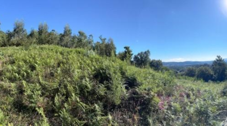 La Coruna - Teaño - 822m2