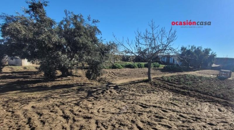 Córdoba - Pozoblanco - 844m2