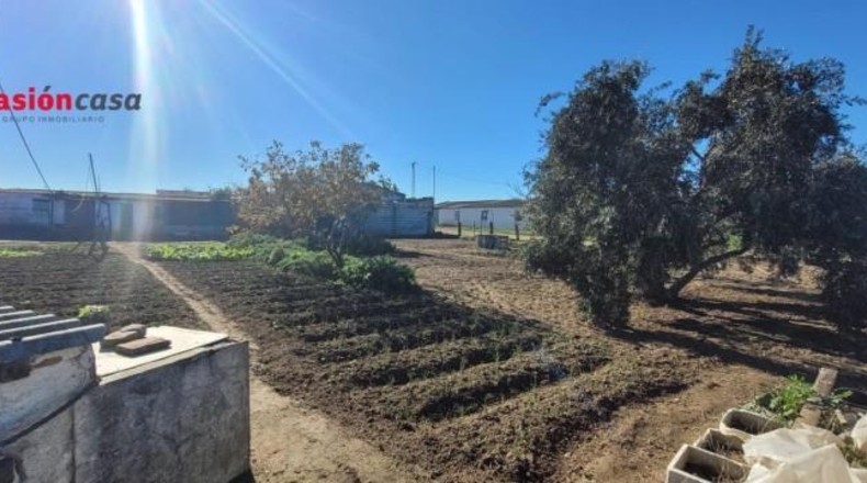 Córdoba - Pozoblanco - 844m2