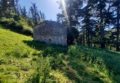 Detached villa with land for sale on España, San Miguel de Luena, ref: TR291576 photo