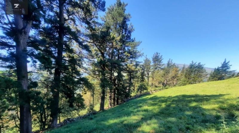Cantabria - Resconorio - 12000m2