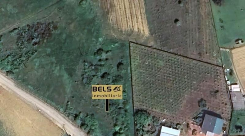 León - Cabañas Raras - 2065m2