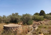 Terreno no urbanizable en venta en la España, Vinaròs, ref: TR313542 foto