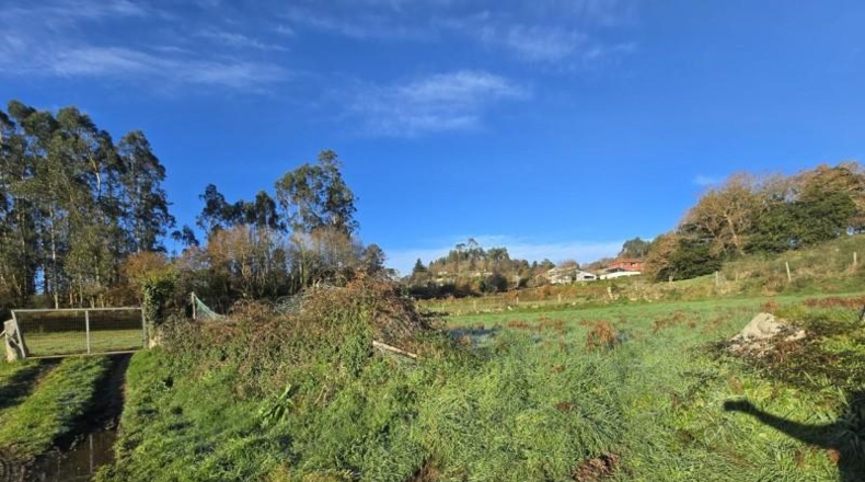 Pontevedra - Tomiño - 1200m2