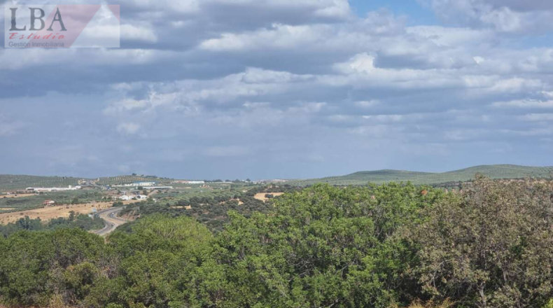 Jaén - Guarromán - 6418m2