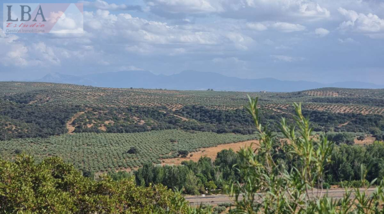 Jaén - Guarromán - 6418m2