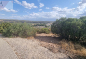 Non-developable land for sale on España, Guarromán, ref: TR221180 photo
