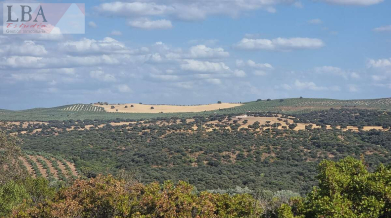 Jaén - Guarromán - 6418m2