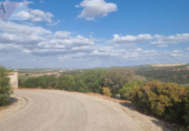 Non-developable land for sale on España, Guarromán, ref: TR221180 photo