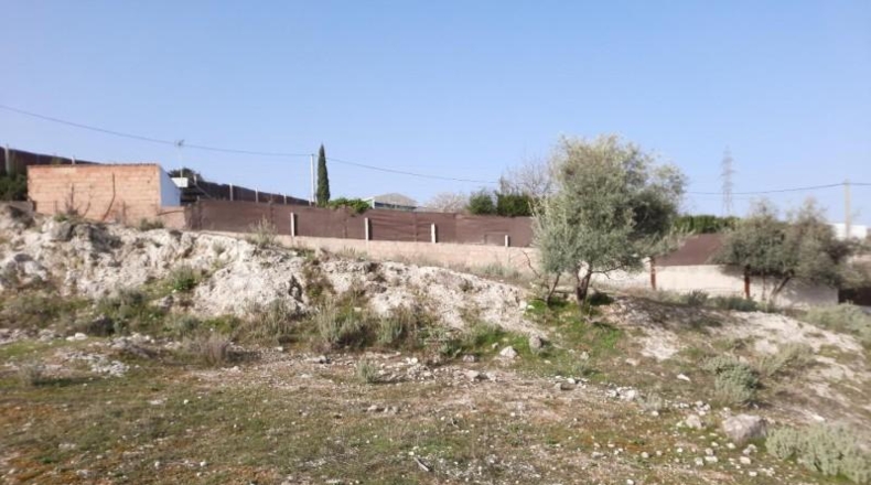 Córdoba - Lucena - 1000m2