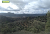 Xalet independent amb terreny en venda a la España, Estación de Espiel, ref.: TR323270 foto