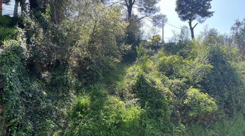 Barcelona - Piera - 956m2