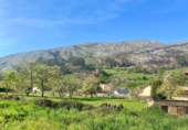 Casa de camp amb terreny en venda a la España, Rivero, ref.: TR332160 foto