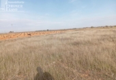 House with land for sale on España, Ossa de Montiel, ref: TR284390 photo