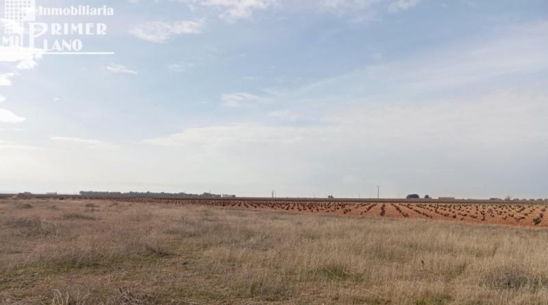 Albacete - Осса-де-Монтьель - 66968m2